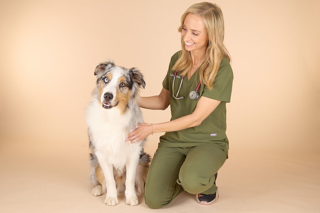 Dog supplements does your dog need them? DOG by Dr Lisa