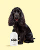 Dandruff Set