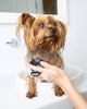DOG Massage Brush