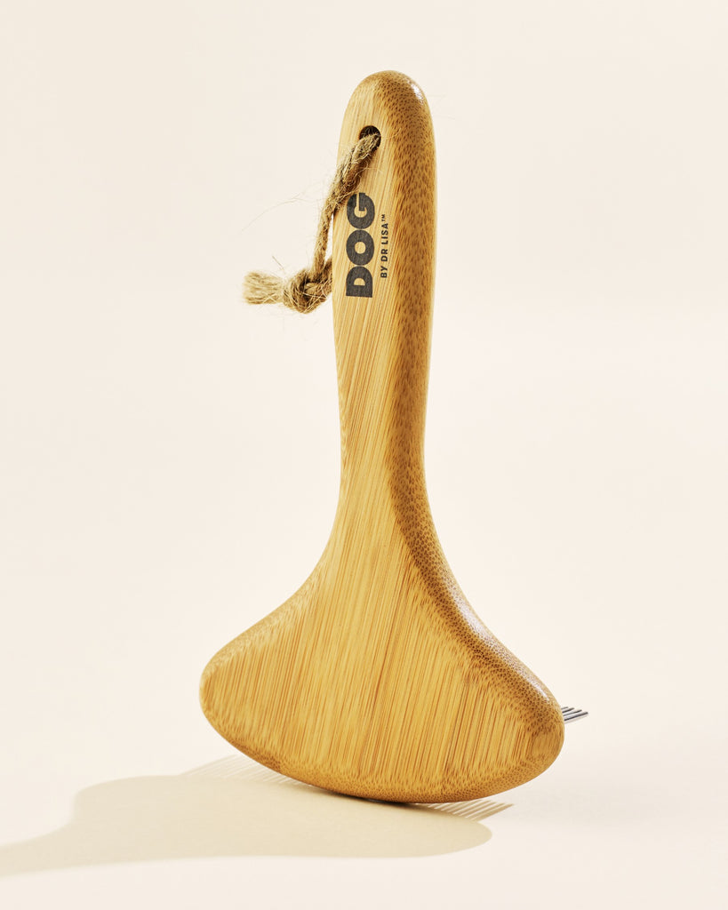 DOG Rake DOG by Dr Lisa