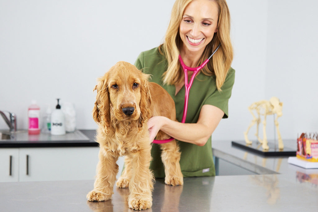 10 Tips And Tricks For Less Stress At The Vet – DOG By Dr Lisa