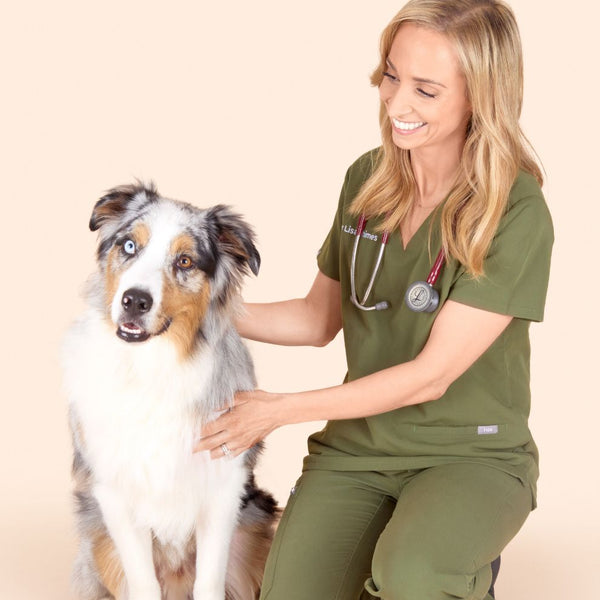 DOG+ Membership – DOG by Dr Lisa