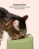 CAT Corner Bowls - Olive