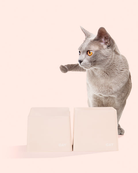 CAT Corner Bowls - Blush