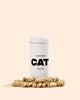 CAT Taste Boosters