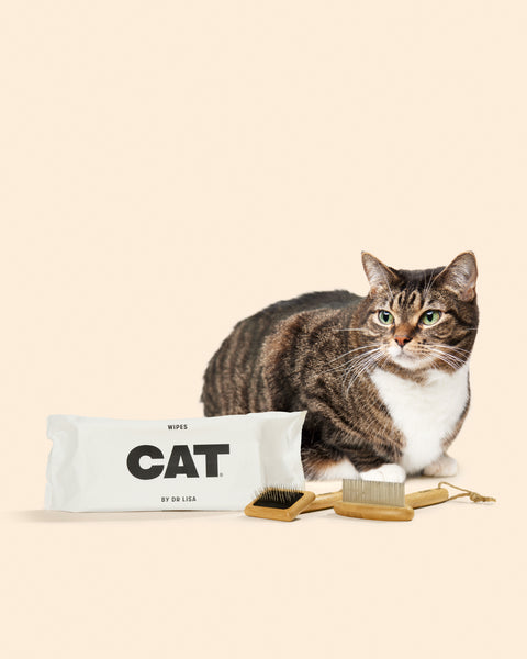 その他 CAT CAT No Wash Set – DOG by Dr Lisa