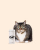 CAT Taste Boosters