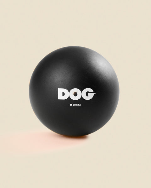 DOG Bounce Ball