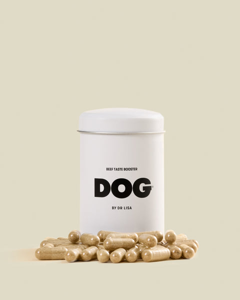 DOG Taste Boosters