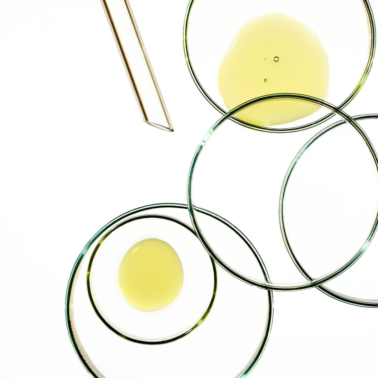 DOG Omega6 Drops DOG by Dr Lisa