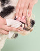 DOG Dental Wipes