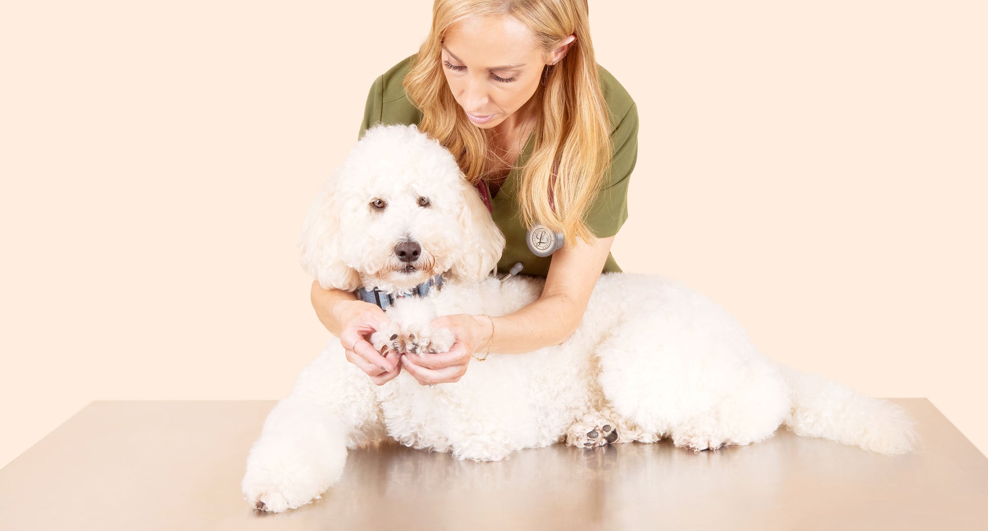 DOG Omega6 Drops DOG by Dr Lisa