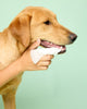 DOG Dental Wipes