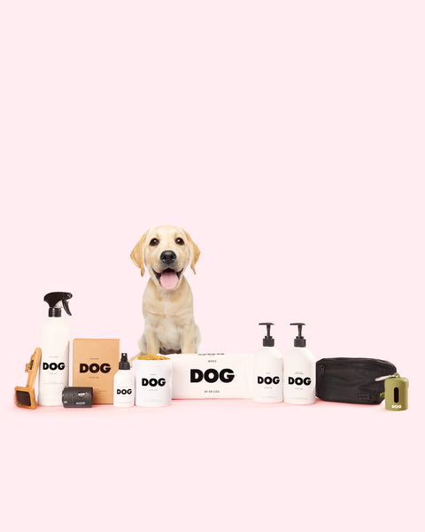 Puppy Set – DOG by Dr Lisa