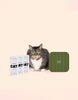 CAT Enrichment Set