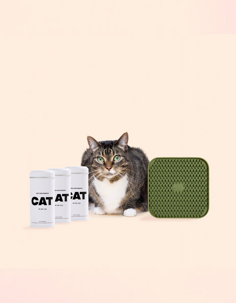 CAT Enrichment Set