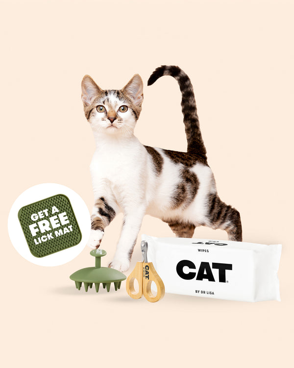 CAT Grooming Starter Set