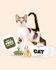 CAT Grooming Starter Set