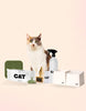 New Cat Set