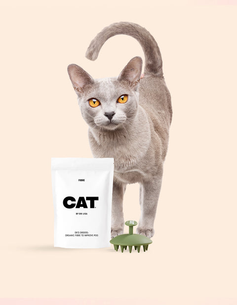 CAT Hairball Set