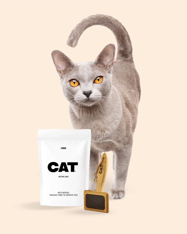 CAT Hairball Set