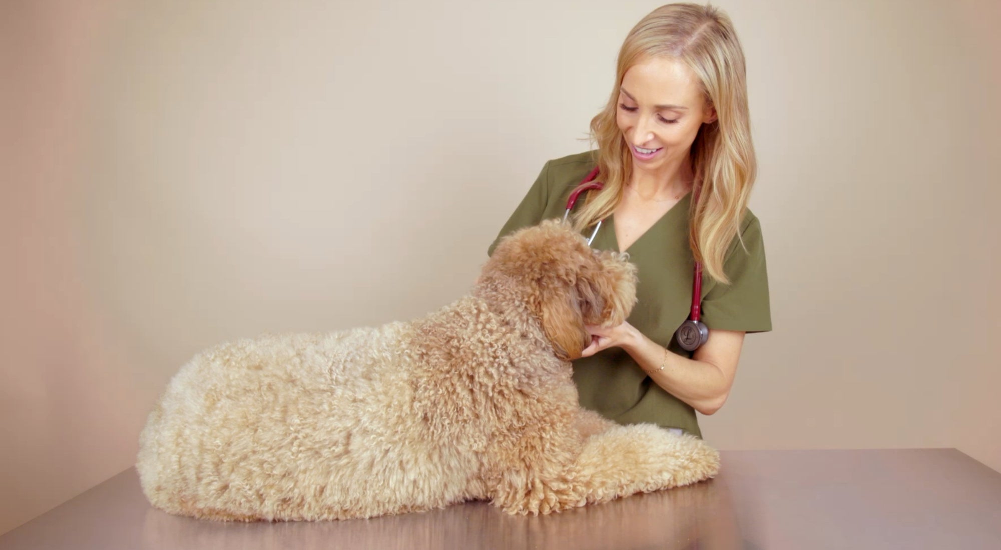 DOG+ Membership – DOG by Dr Lisa