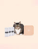 CAT Enrichment Set
