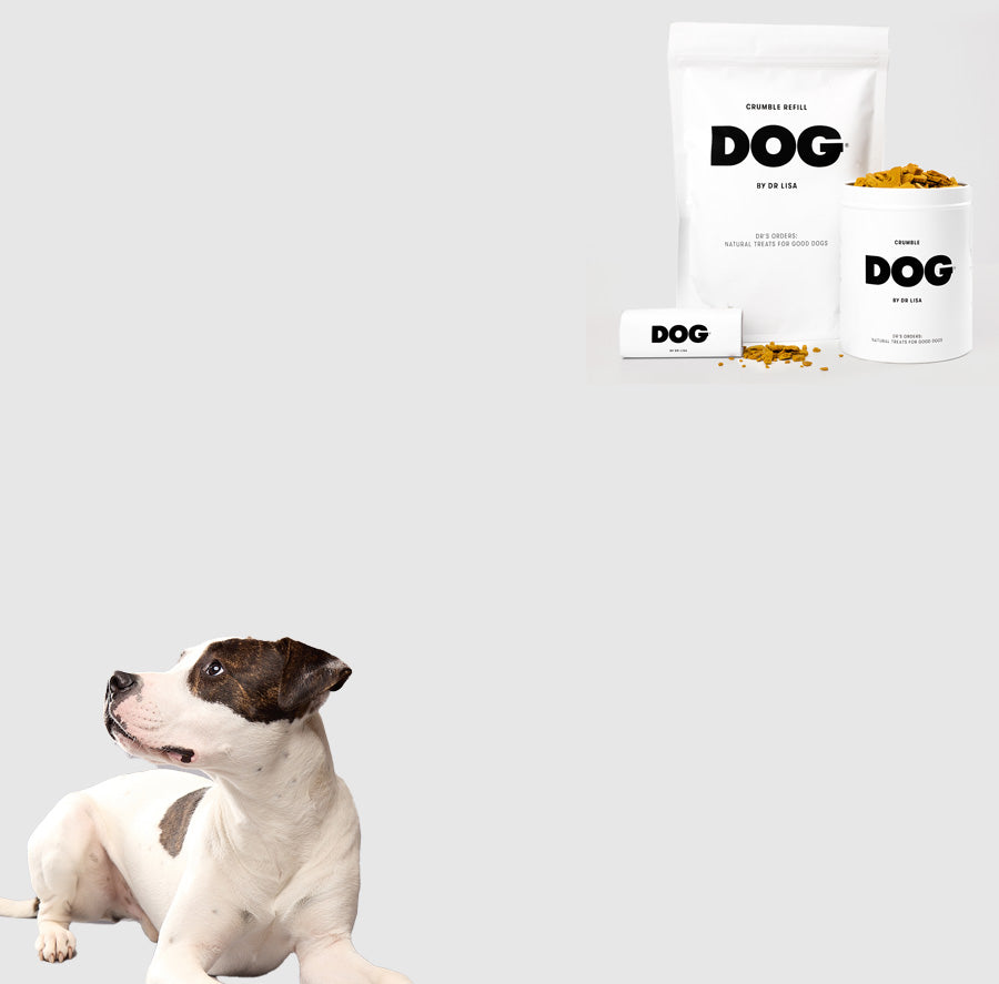 DOG Wash 1L Refill DOG Wash 1L Refill