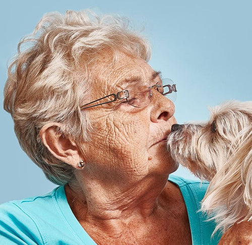 DOG+ Membership – DOG by Dr Lisa