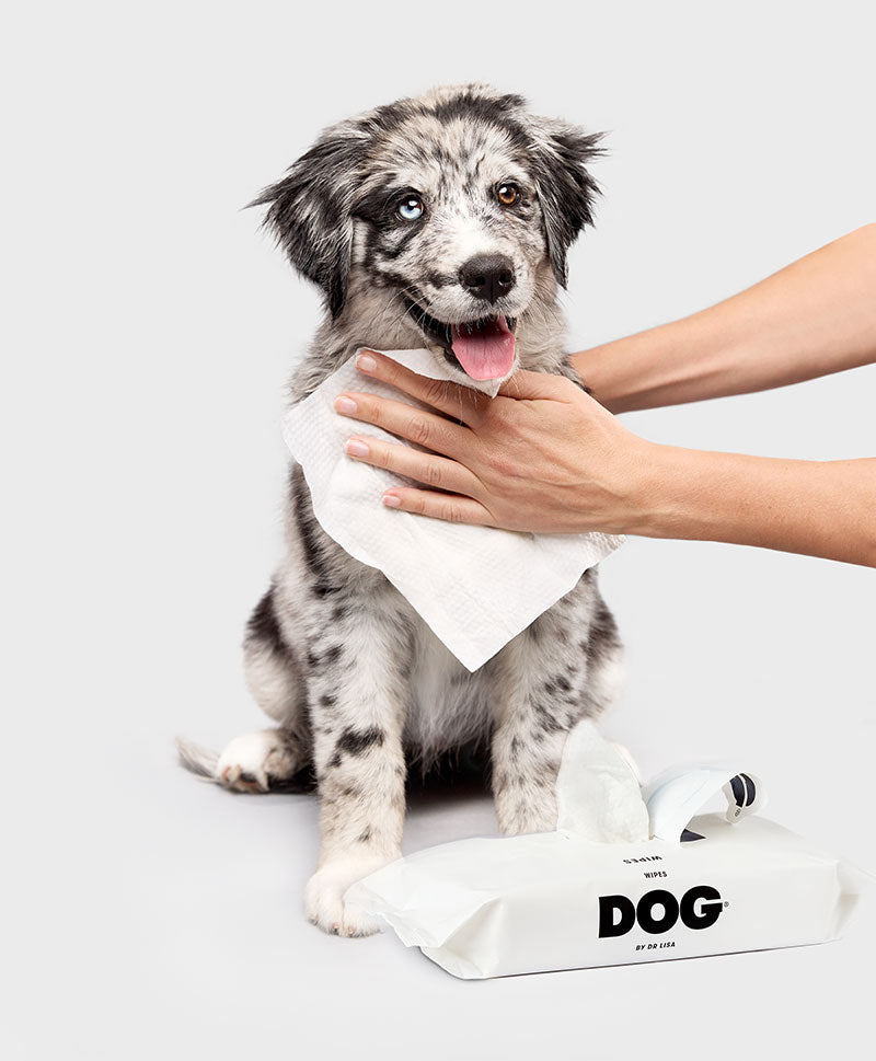 DOG WIPES DOG by Dr Lisa