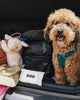 DOG Travel Wipes - 6 Pack